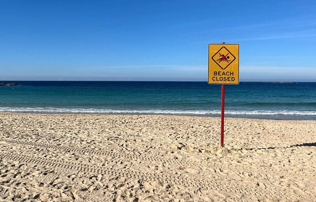 AUSTRALIE : UNE NAGEUSE GRIÈVEMENT BLESSÉE APRÈS AVOIR ÉTÉ MORDUE PAR UN REQUIN