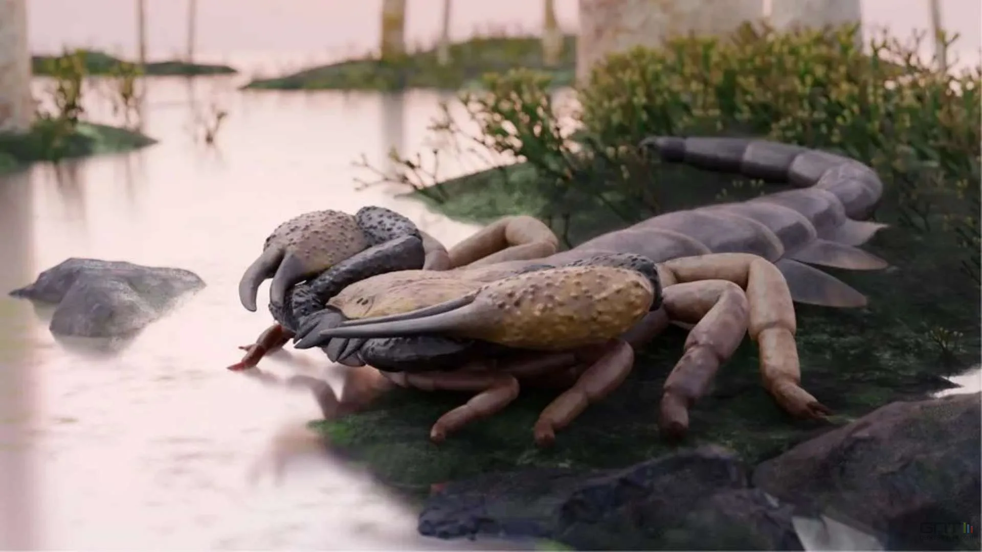 LE PLUS GRAND SCORPION DE L’HISTOIRE MESURAIT PLUS D’UN MÈTRE ET VIVAIT EN EUROPE