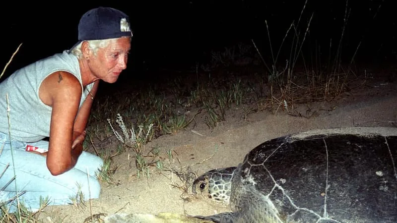 « UNE PERTE POUR SA FAMILLE ET SA COMMUNAUTÉ »: L’ÉCOLOGISTE PIONNIÈRE DE LA PROTECTION DES TORTUES MONA KHALIL TUÉE DANS UNE FRAPPE ISRAÉLIENNE AU LIBAN