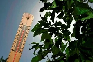 CANICULE : 37 DÉPARTEMENTS EN VIGILANCE ROUGE, DES TEMPÉRATURES COMPRISES ENTRE 38 ET 41 °C DIMANCHE