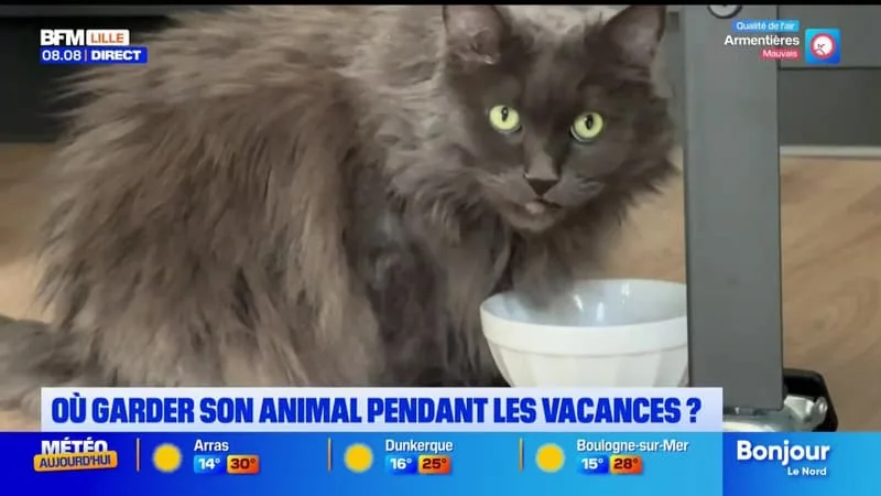 COMMENT FAIRE GARDER SON ANIMAL DE COMPAGNIE PENDANT NOS VACANCES ?