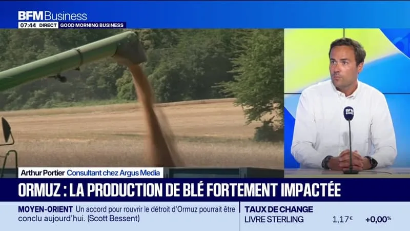 CANICULE : COMMENT SE PORTE LE MARCHÉ DES RÉCOLTES ?