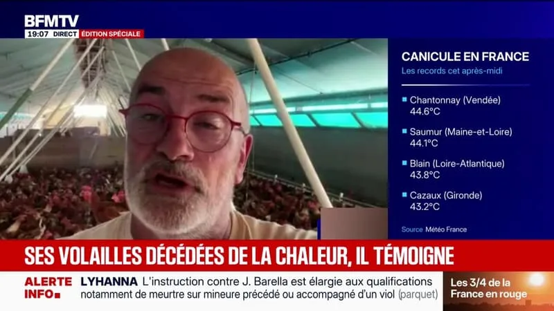 « C’EST QUELQUE CHOSE DE TRÈS DUR POUR UN ÉLEVEUR »: SES VOLAILLES DÉCÈDENT À CAUSE DE LA CHALEUR, IL TÉMOIGNE SUR BFMTV