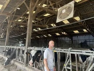 DES DOUCHES ET DES VENTILATEURS POUR SES VACHES : FACE À LA CHALEUR, IL EST AUX PETITS SOINS POUR SES ANIMAUX