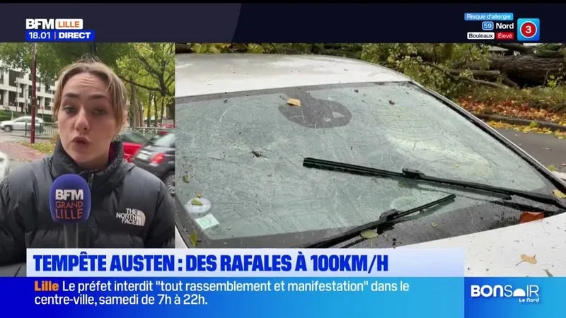 ARBRES COUCHÉS, TRAMWAYS ET TRAINS SUSPENDUS, PANNE D’ÉLECTRICITÉ… LA TEMPÊTE AUSTEN A FRAPPÉ LE NORD ET LE PAS-DE-CALAIS AVEC DES RAFALES JUSQU’À 100KM/H