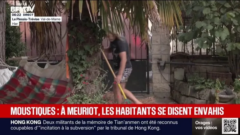 DES HABITANTS DU VAL-DE-MARNE ENVAHIS PAR LES MOUSTIQUES