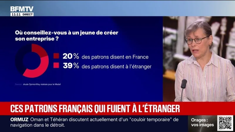 INQUIÉTUDE DES CHEFS D’ENTREPRISE: « LA POLITIQUE DE L’OFFRE QUI EST MISE EN ŒUVRE EST UN ÉCHEC », AFFIRME SOPHIE TAILLÉ-POLIAN, DÉPUTÉE ÉCOLOGISTE ET SOCIAL