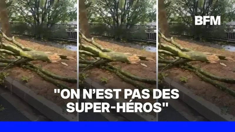 « EN UNE MINUTE, ÇA A VIRÉ AU DRAME »: DEUX HOMMES PORTENT SECOURS À UNE PASSANTE ALORS QUE DES ARBRES MENACENT DE LUI TOMBER DESSUS