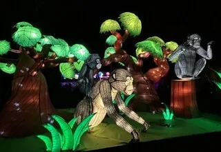 HALLOWEEN, ANIMAUX LUMINEUX, SALON DU MARIAGE… : VOICI NOS IDÉES DE SORTIES POUR CE WEEK-END À CAEN ET SES ALENTOURS