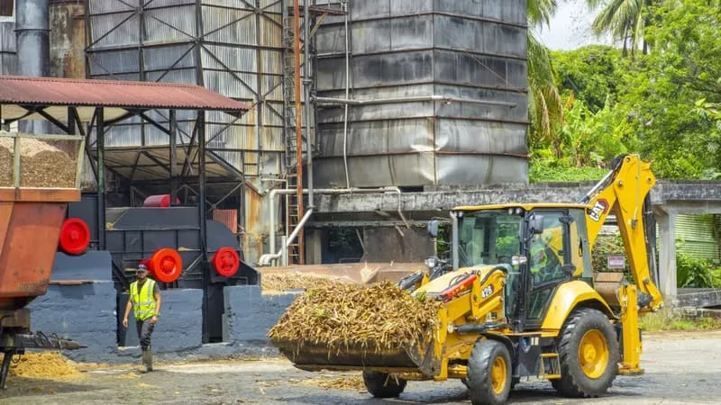 EL NIÑO PROVOQUE UNE « SÉCHERESSE EXCEPTIONNELLE » AUX ANTILLES: LES AGRICULTEURS ALERTENT SUR UNE « SITUATION CATASTROPHIQUE »
