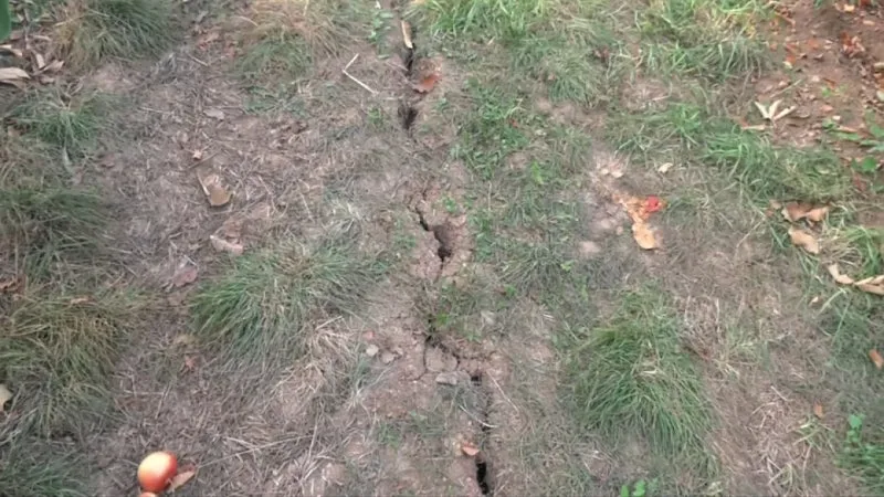 SÉCHERESSE ET INONDATION: LA VILLE DE SAINT-ÉTIENNE ENCOURAGE SES HABITANTS DANS LEUR DEMANDE DE RECONNAISSANCE DE CATASTROPHE NATURELLE DEVANT L’ÉTAT