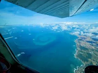 « TOUT LE MONDE PENSE QUE C’EST DE L’IA, MAIS NON » : QUEL EST CE CURIEUX HOMMAGE AU FILM VAIANA AU LARGE DE LA VENDÉE ?