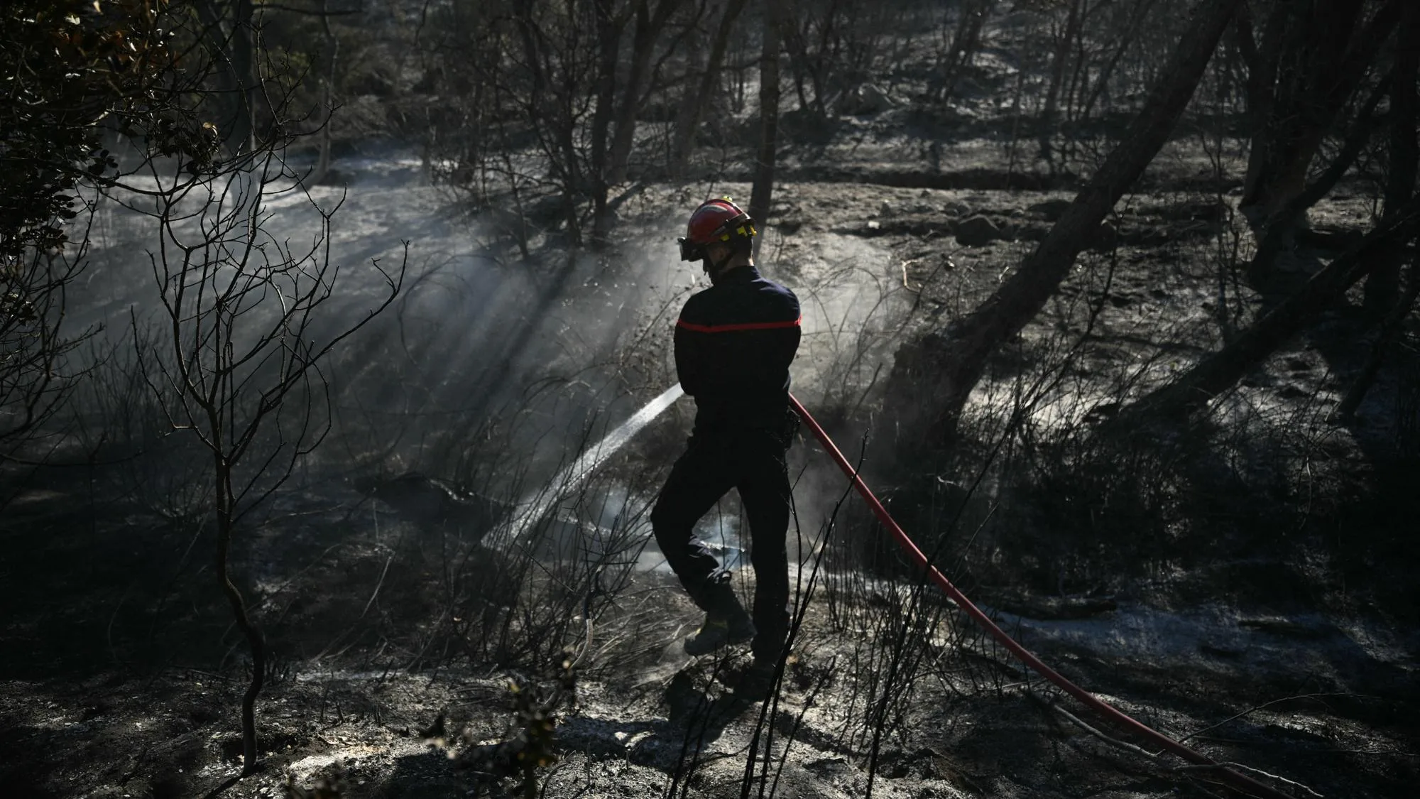 L’INCENDIE DANS LES PYRÉNÉES-ORIENTALES SE STABILISE, LE PRÉFET VOIT « LE BOUT DU TUNNEL »