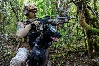REPORTAGE. UNIQUE EN EUROPE, CE RÉGIMENT FORME LES CHIENS DE MILITAIRES PRÊTS AU COMBAT