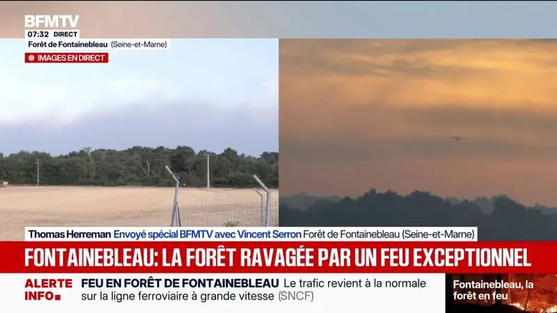 INCENDIE À FONTAINEBLEAU: DEUX CANADAIR ATTENDUS EN SEINE-ET-MARNE POUR RENFORCER LES MOYENS TERRESTRES