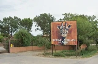 « UNE NAISSANCE EXCEPTIONNELLE » : LA RÉSERVE DE SIGEAN ACCUEILLE UN TALAPOIN, LE PLUS PETIT SINGE D’AFRIQUE
