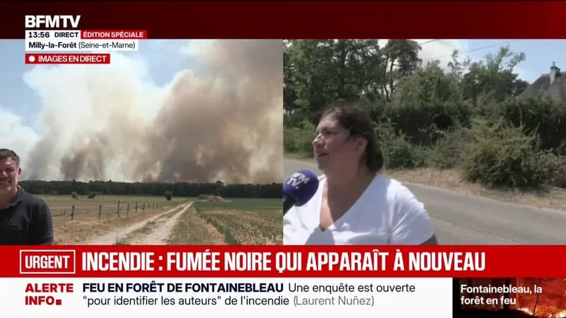 INCENDIE DE LA FORÊT DE FONTAINEBLEAU: « J’AI PRÉPARÉ UNE VALISE OU DEUX, S’IL FAUT PARTIR, C’EST PRÈS », AFFIRME UNE HABITANTE PROCHE DE LA FORÊT