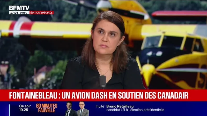MARSCHALL TRUCHOT : FONTAINEBLEAU, UN AVION DASH EN SOUTIEN DES CANADAIR – 15/07