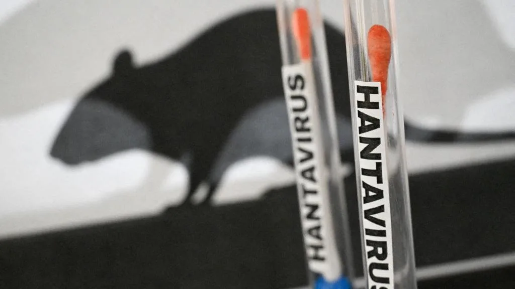 L’HANTAVIRUS CIRCULE EN FAIT TOUJOURS, UNE PERSONNE PASSÉE PAR LA FRANCE TESTÉE POSITIVE À LA « SOUCHE ANDES »