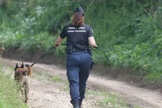 HOMME TUÉ PAR BALLE SUR UNE AIRE D’ACCUEIL DES GENS DU VOYAGE EN VENDÉE : LE FUYARD S’EST RENDU AUX AUTORITÉS