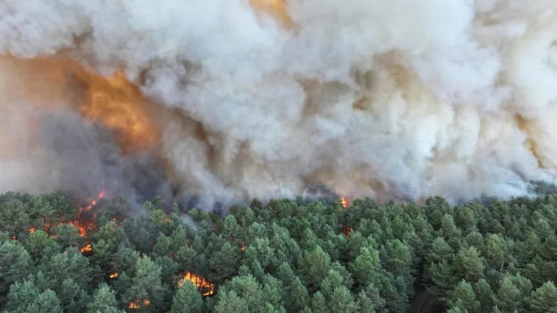 AVIONS CANADAIR, 800 HECTARES PARTIS EN FUMÉE, 500 POMPIERS… LES IMAGES DE L’INCENDIE EXCEPTIONNEL DE LA FORÊT DE FONTAINEBLEAU