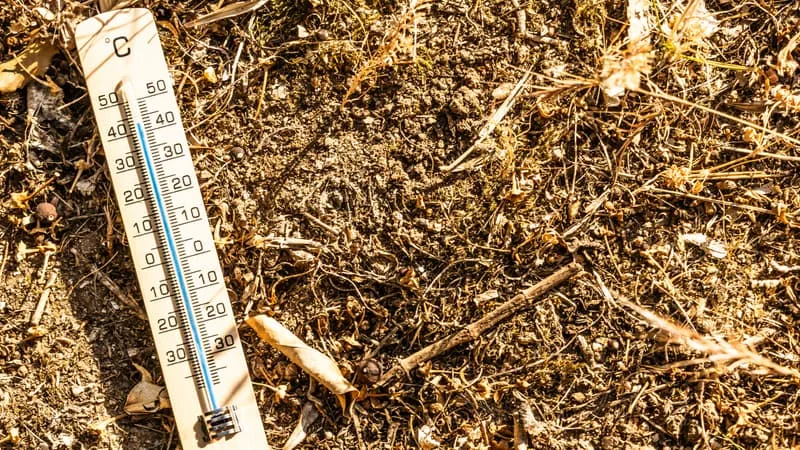 PLUS DE 50 JOURS DE VAGUES DE CHALEUR ENREGISTRÉS EN FRANCE CETTE ANNÉE, UN RECORD