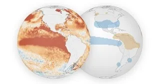 INFOGRAPHIES. SÉCHERESSES, PLUIES EXTRÊMES : COMMENT EL NIÑO BOULEVERSE LE CLIMAT À L’ÉCHELLE DU GLOBE