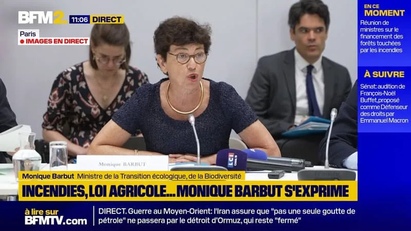 INCENDIES EN FRANCE: « 750 000 EUROS DONT 600 000 POUR FONTAINEBLEAU ONT ÉTÉ RÉCOLTÉS », ANNONCE MONIQUE BARBUT