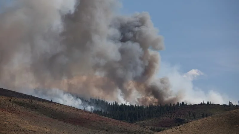 UN INCENDIE AU « COMPORTEMENT EXTRÊME » MENACE UNE VILLE DU NEVADA, 42.000 PERSONNES ÉVACUÉES