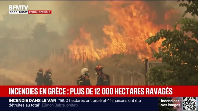 INCENDIES: PLUS DE 12.000 HECTARES DE FORÊTS ET DE TERRES AGRICOLES ONT ÉTÉ RAVAGÉS PAR LES FLAMMES