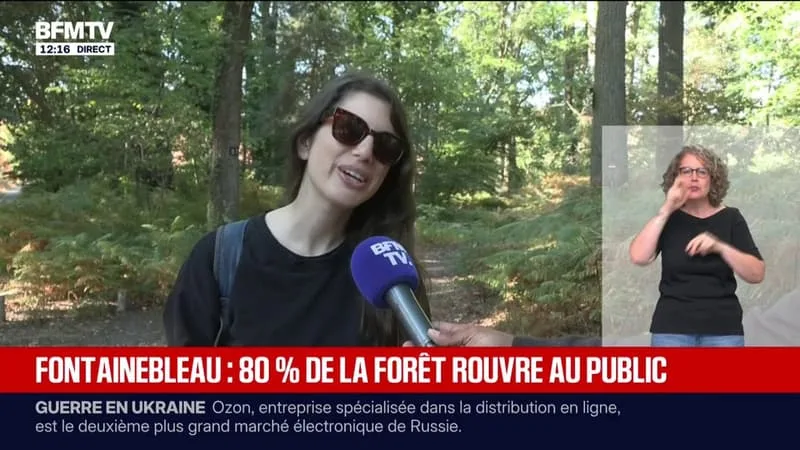 « C’EST UN VRAI PLAISIR »: 80% DE LA FORÊT DE FONTAINEBLEAU ROUVRE AU PUBLIC CE SAMEDI APRÈS D’IMPORTANTS INCENDIES EN JUILLET