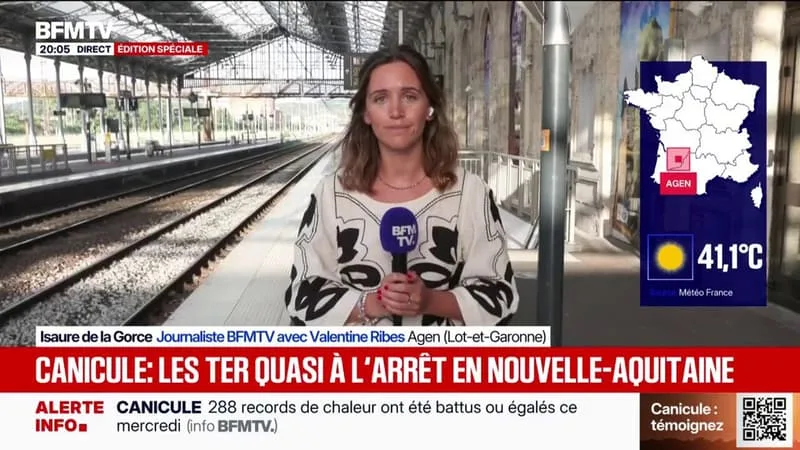 CANICULE: DE NOMBREUX TER SONT À L’ARRÊT EN NOUVELLE-AQUITAINE