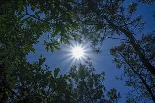 CARTE. JUSQU’À 40 °C CE DIMANCHE : POURQUOI LE SOLSTICE D’ÉTÉ RENDRA CETTE VAGUE DE CHALEUR PLUS DIFFICILE À VIVRE