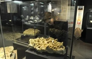 CE MUSÉE BRETON PAS COMME LES AUTRES RÉVÈLE LE POUVOIR ET LA MÉMOIRE DES PIERRES
