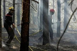 DEUX NOUVEAUX INCENDIES BRÛLENT QUATRE HECTARES DE VÉGÉTATION DANS LE MAINE-ET-LOIRE