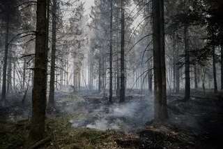 INCENDIE EN BELGIQUE : UNE VILLE ALLEMANDE FRONTALIÈRE PARTIELLEMENT ÉVACUÉE