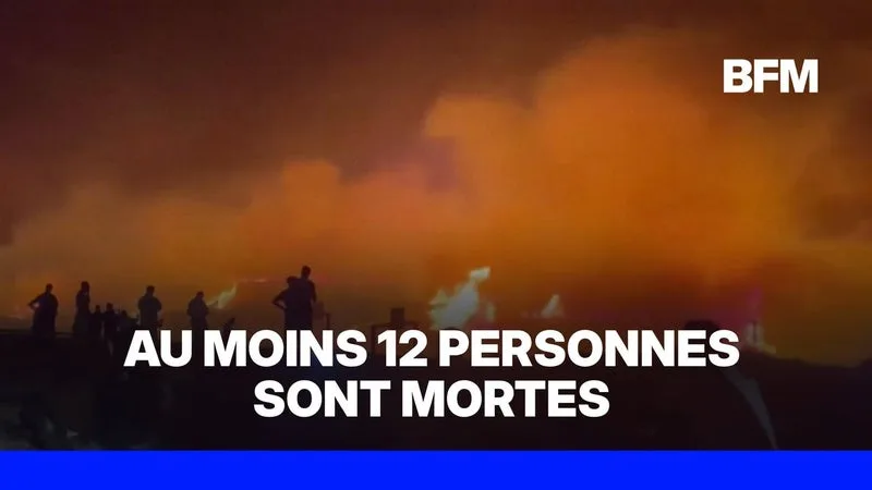 APRÈS DES INCENDIES MEURTRIERS EN ALGÉRIE, LE PRÉSIDENT VEUT APPLIQUER LA PEINE DE MORT CONTRE LES PYROMANES