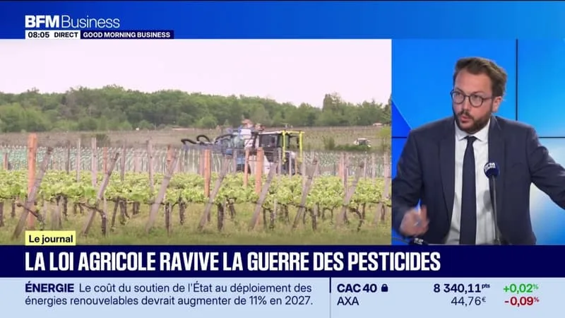 LA LOI AGRICOLE RAVIVE LA GUERRE DES PESTICIDES