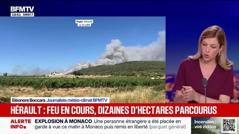 INCENDIES: PLUSIEURS DIZAINES D’HECTARES ONT BRULÉ DANS L’HÉRAULT, DES FEUX EN COURS