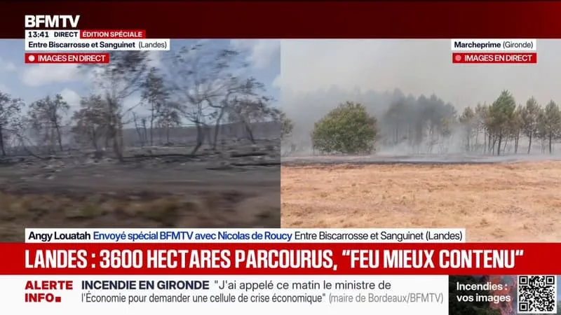 INCENDIES: PAYSAGE DE DÉSOLATION ENTRE BISCARROSSE ET SANGUINET DANS LES LANDES