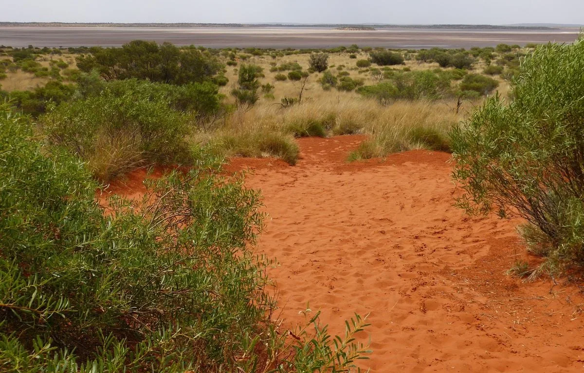 AUSTRALIE : « TRAUMATISME SUPPLÉMENTAIRE », ON ANNONCE QUE LEUR FILLE EST VIVANTE ALORS QUE SON CORPS A ÉTÉ DÉCOUVERT