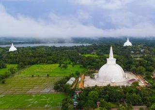 DES STATUES DE BOUDDHA VIEILLES DE 1 200 ANS ET RECOUVERTES D’OR DÉCOUVERTES SUR UN SITE HISTORIQUE AU SRI LANKA