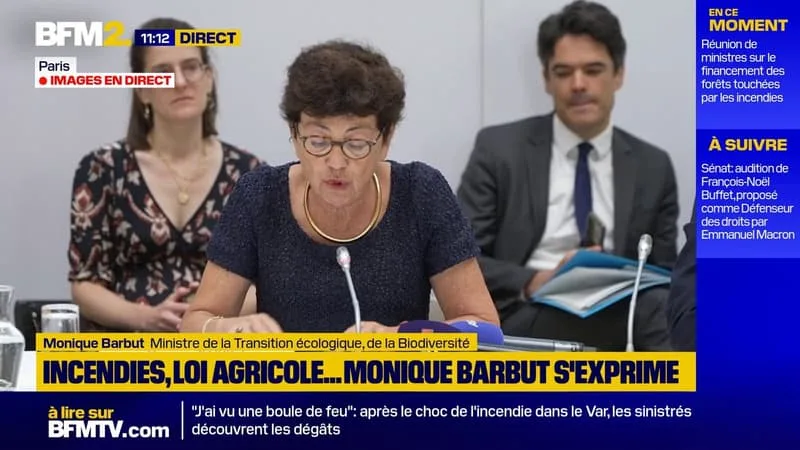 PROTECTION DES FORÊTS: « NOUS ALLONS CRÉER UNE START-UP D’ÉTAT FRANCE FORÊT 2100 », ANNONCE LA MINISTRE DE LA TRANSITION ÉCOLOGIQUE MONIQUE BARBUT