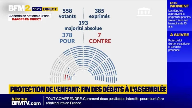 LES DÉPUTÉS ADOPTENT TRÈS LARGEMENT EN PREMIÈRE LECTURE LE PROJET DE LOI « RELATIF À LA PROTECTION DES ENFANTS »