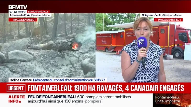 FONTAINEBLEAU: « ON ESPÈRE QUE LE FEU SERA FIXÉ DANS LA JOURNÉE », SOUHAITE LA PRÉSIDENTE DU CONSEIL D’ADMINISTRATION DU SDIS77