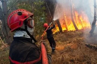 INCENDIES DANS LE SUD : « GIGANTESQUE FEU » DANS LES PYRÉNÉES-ORIENTALES, 450 HECTARES BRÛLÉS DANS LA DRÔME…