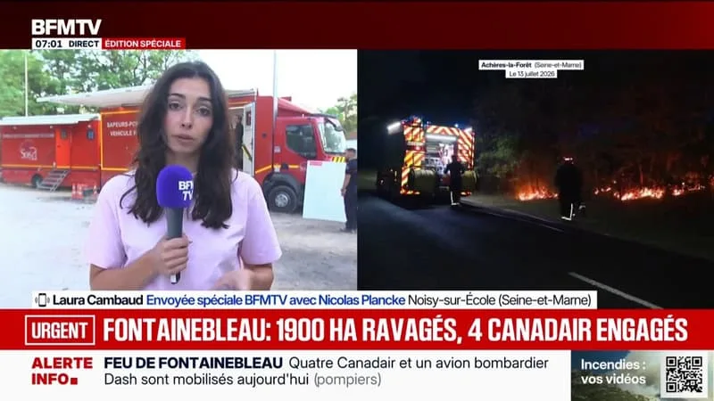 INCENDIE DE FONTAINEBLEAU: QUATRE CANADAIR SONT MOBILISÉS POUR LUTTER CONTRE LES FLAMMES