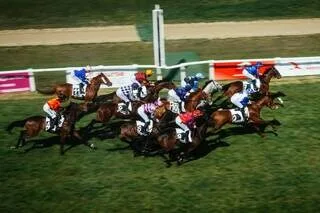 HIPPISME. UN ENTRAÎNEUR RÉPUTÉ SERA JUGÉ POUR DOPAGE DE CHEVAUX DE COURSE
