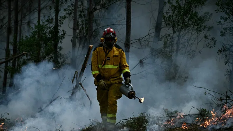 « UN SCANDALE À VENIR »: DES POMPIERS INTOXIQUÉS PAR LES FEUX DE FORÊT DÉNONCENT UN MANQUE DE SUIVI MÉDICAL