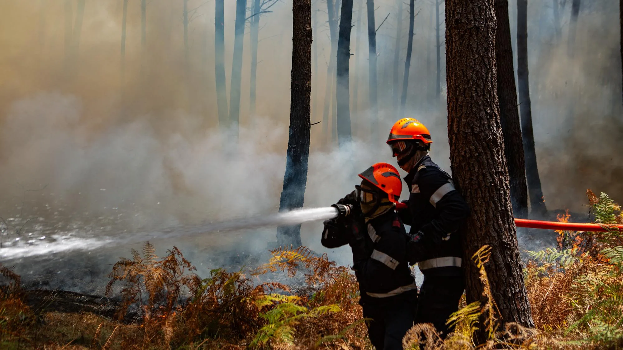 MÉGAFEU EN GIRONDE : À LEUR TOUR, LES POMPIERS DÉMENTENT AVOIR « ABANDONNÉ » LE PORGE AUX INCENDIES
